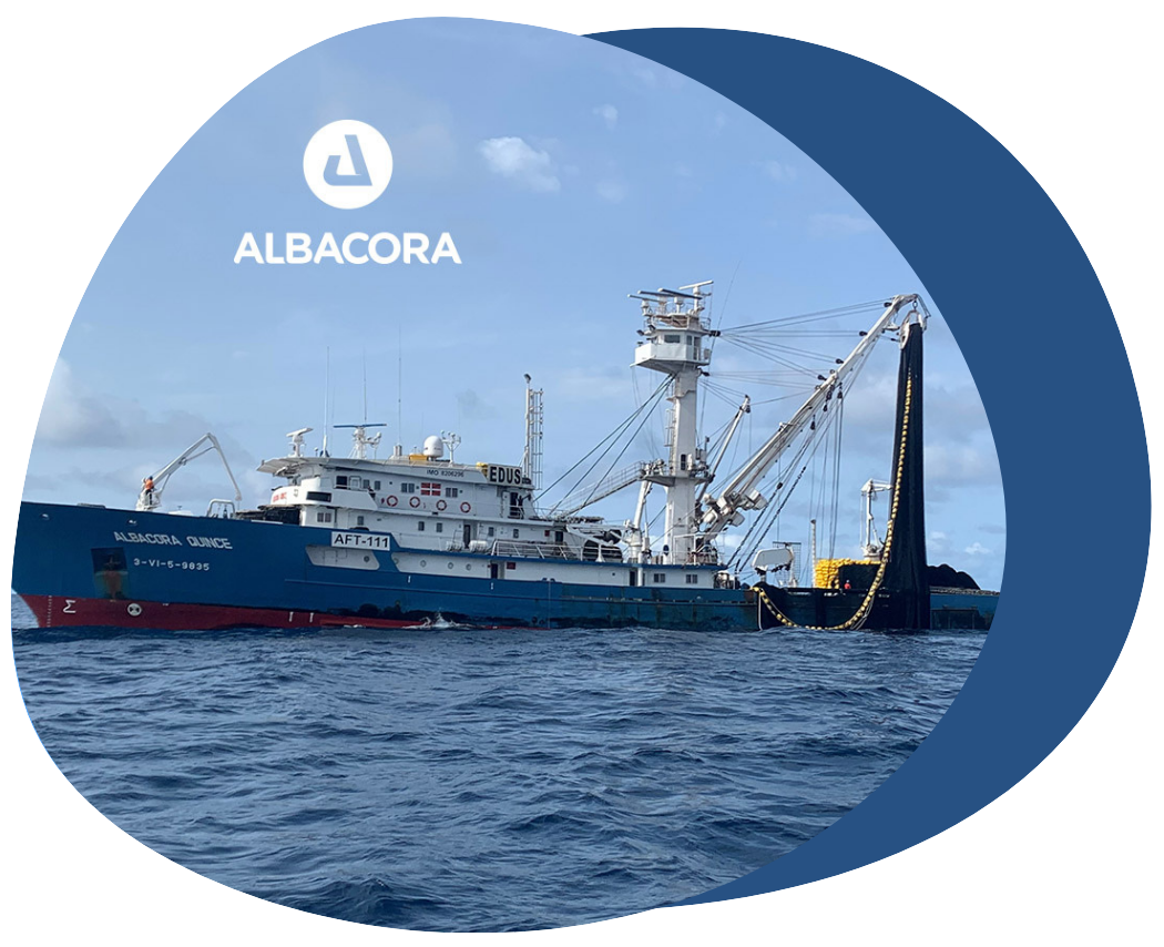 servicedesk freshservice albacora