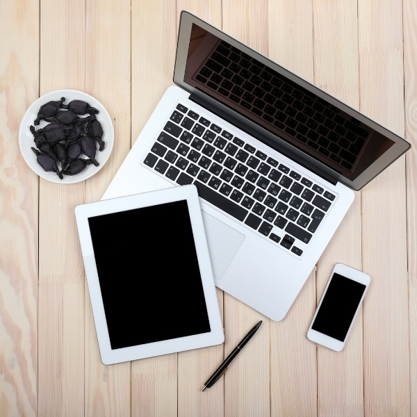 ciclo de vida de activos​