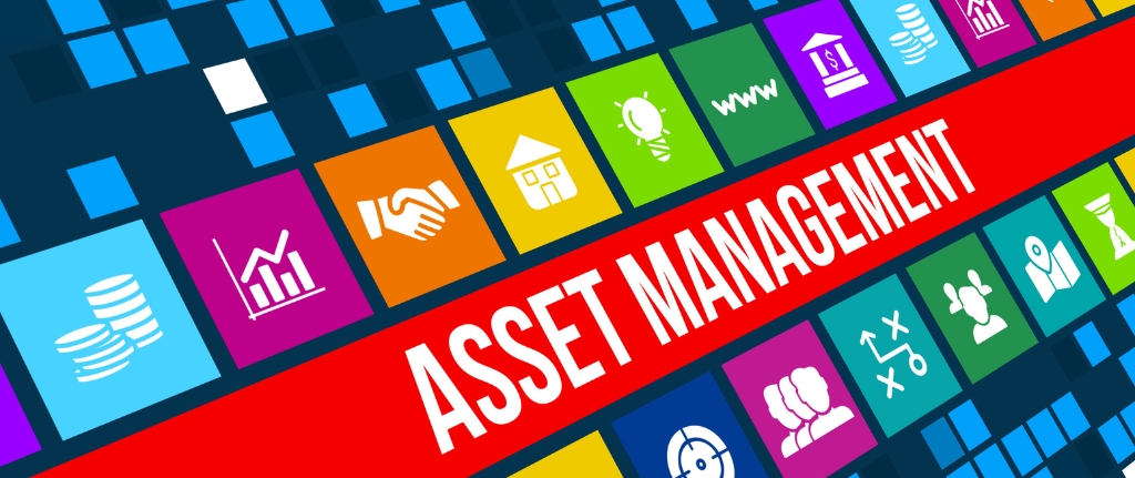 software soporte remoto