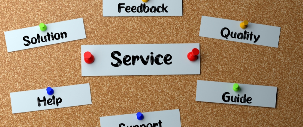 software soporte remoto