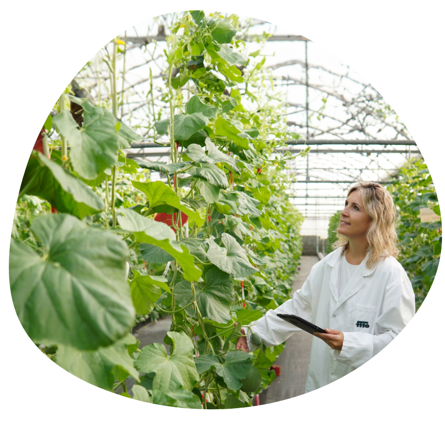 caso exito semillas fito